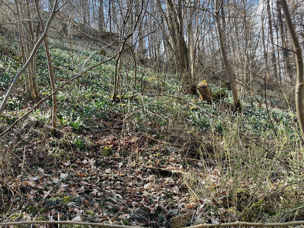 25-03-22 14-25-44 2528